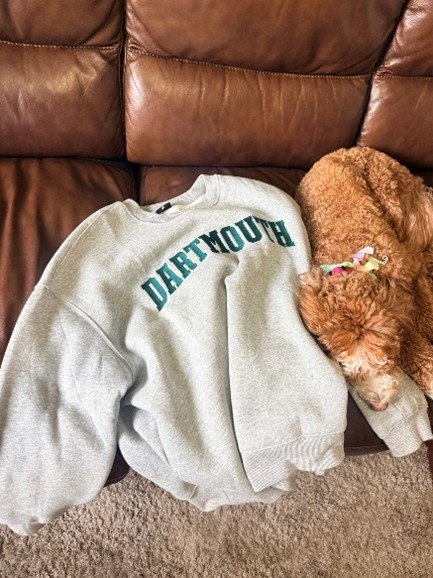 Layla the goldendoodle curled up next to a Dartmouth sweatshirt representing the Tuck School of Business experience